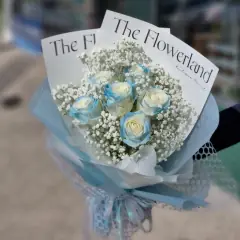 The Flower Land