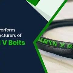 Ajanta Belts