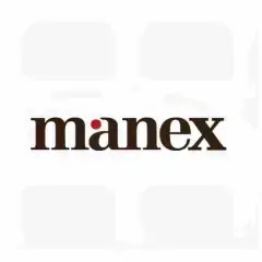 Manex-Consulting