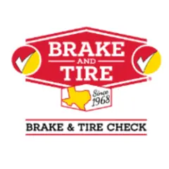 Brake and Tire Check