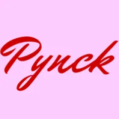 pynckfashion