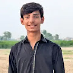 download video tiktok tanpa watermark