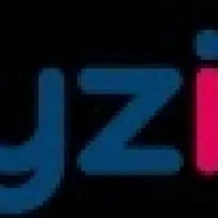 Toyzinn