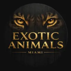 exoticanimalsmiami