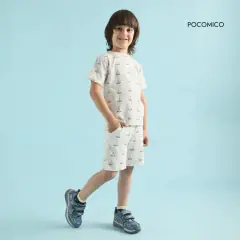 pocomico