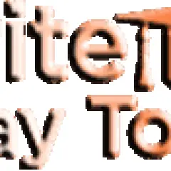 Write Essay