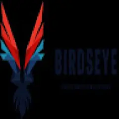Birdseye Surveillance