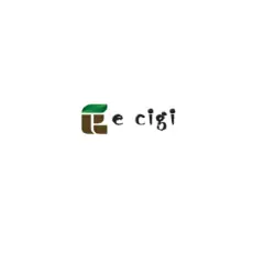 E cigi bolt
