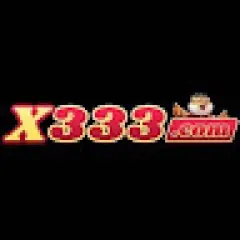x333