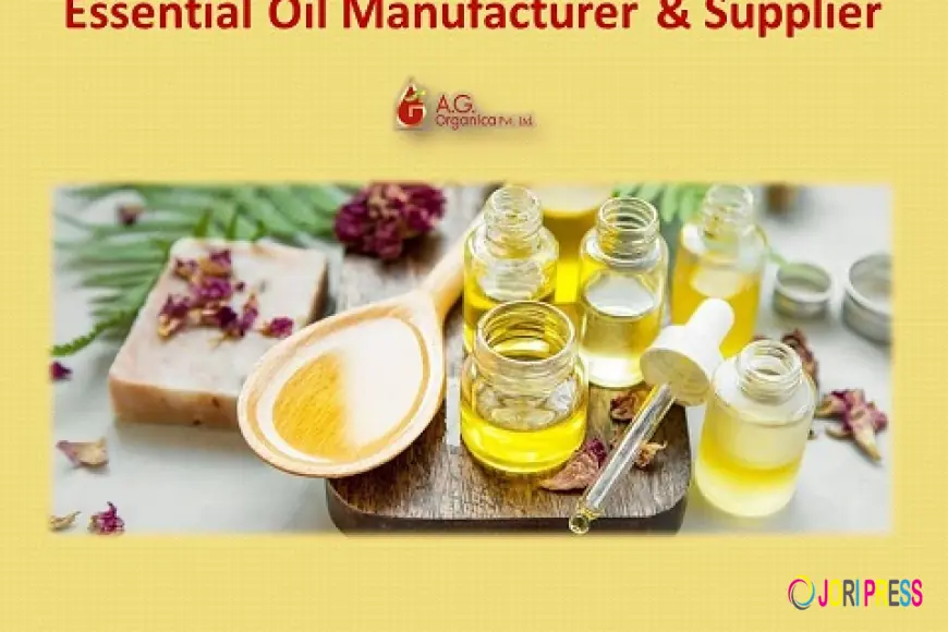 what is the Best Essential Oil Manufacturer Industry?